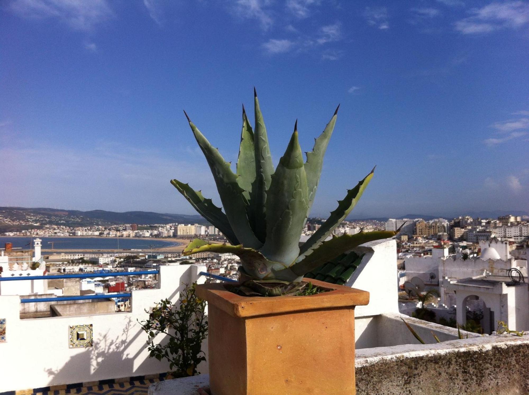 Maison Traditionnelle Dans La Casbah De Tanger Extérieur photo